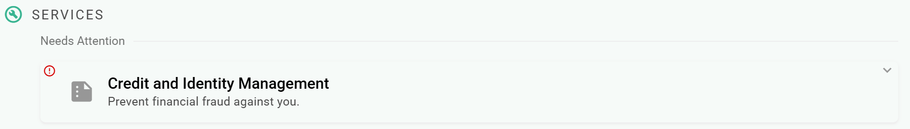 Credit monitoring services activate